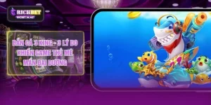 Bắn Cá 3 King - 3 Lý Do Khiến Game Thủ Mê Mẩn Đại Dương