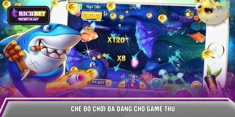 Chế độ chơi đa dạng cho game thủ