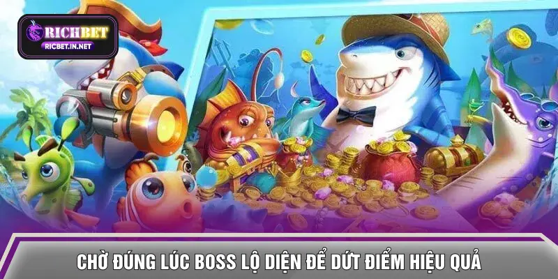 Chờ đúng lúc Boss lộ diện để dứt điểm hiệu quả