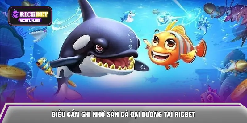 Điều cần ghi nhớ săn cá Đại Dương tại RICBET