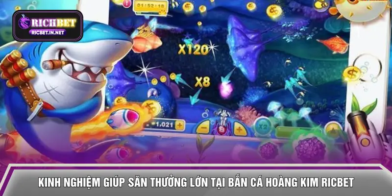 Kinh nghiệm giúp săn thưởng lớn tại bắn cá Hoàng Kim RICBET