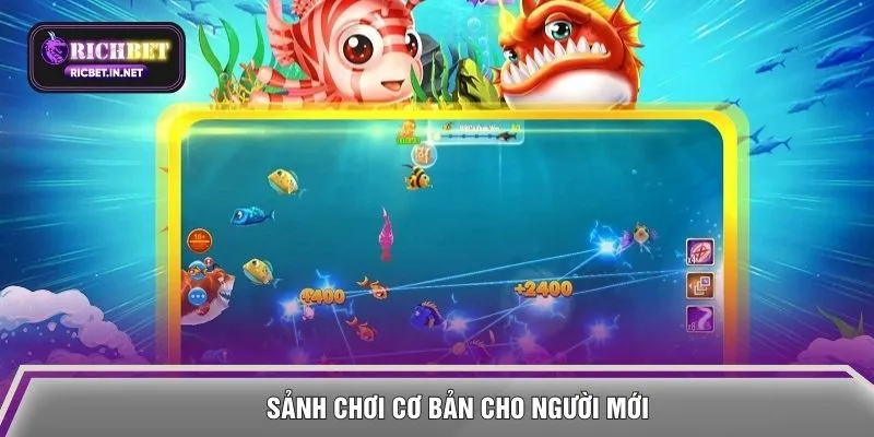 Sảnh chơi cơ bản cho người mới