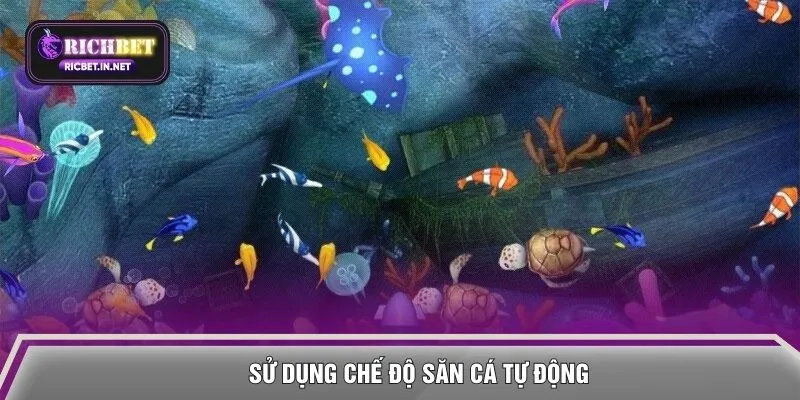 Sử dụng chế độ săn cá tự động