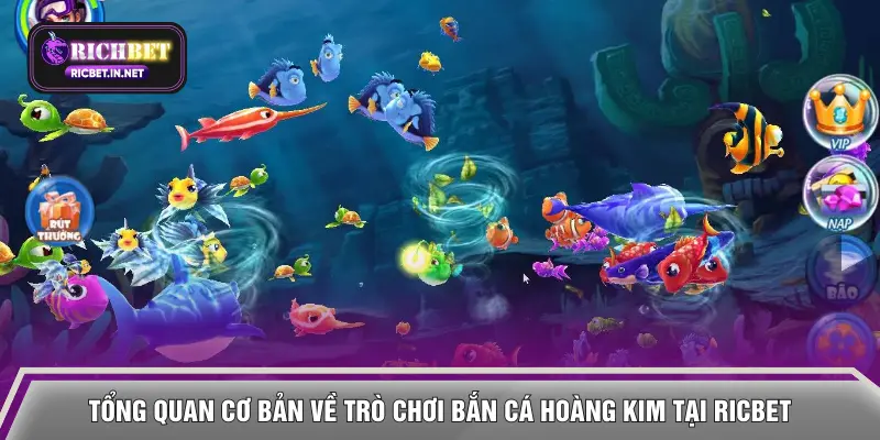 Tổng quan cơ bản về trò chơi bắn cá Hoàng Kim tại RICBET