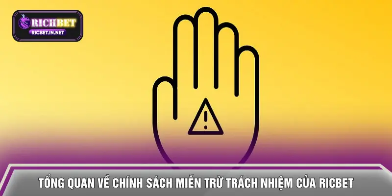 Tổng quan về chính sách miễn trừ trách nhiệm của RICBET